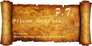 Pilczer Terézia névjegykártya